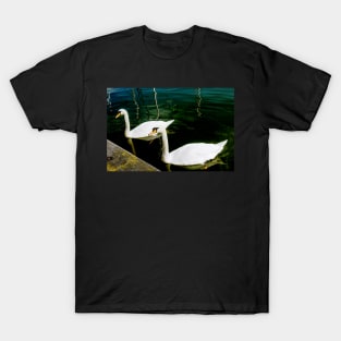 1050200 Pair of Swans T-Shirt